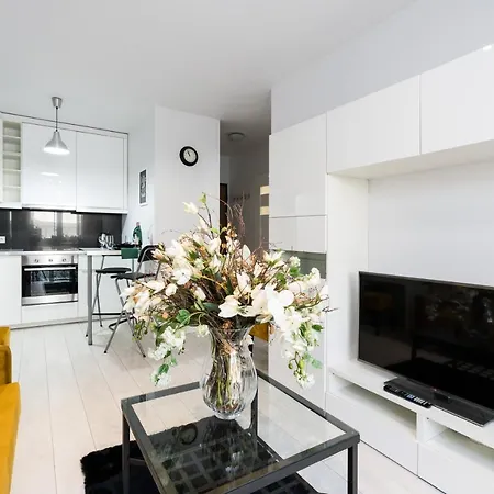Apartment Czarnieckiego With Free Parking By Renters *