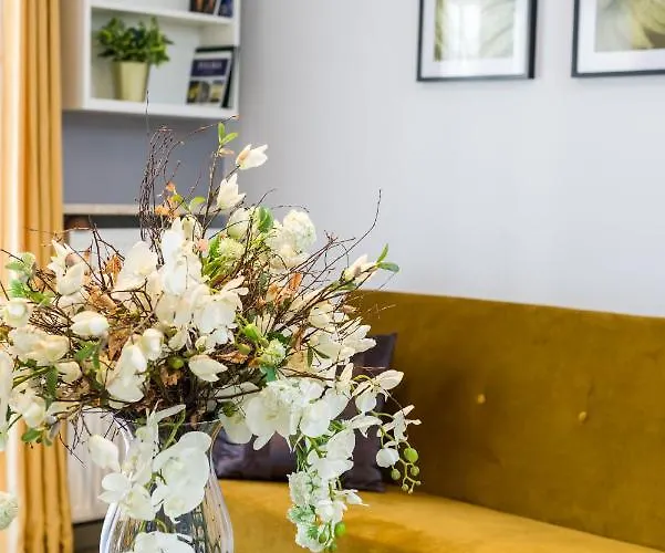 Czarnieckiego By Renters * פוזנן